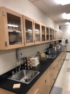 science lab with sinks